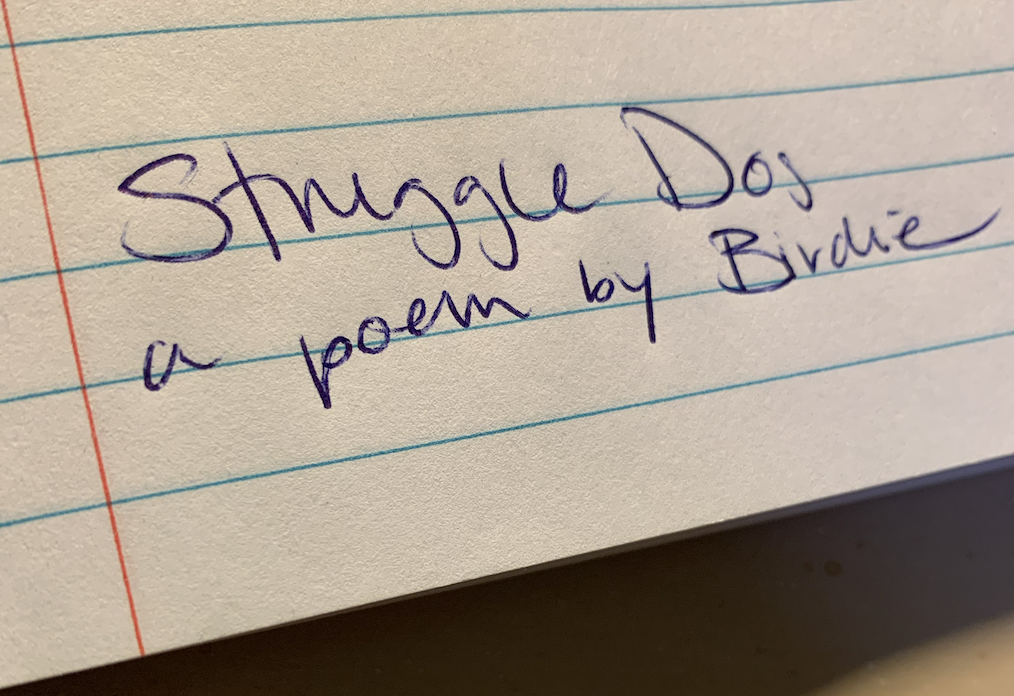 Lined paper with "Struggle Dog a poem by Birdie" written in blue pen just beside the margin line.