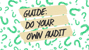 Guide for Conducting your own Environmental Audit post feature image
